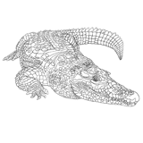 Crocodile coloring pages for Adults