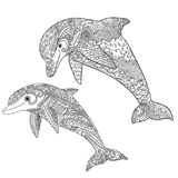 Dolphin coloring pages for Adults