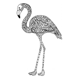 Flamingo coloring pages for Adults