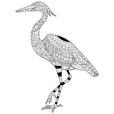 Heron coloring pages for Adults