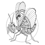 Insect coloring pages for Adults