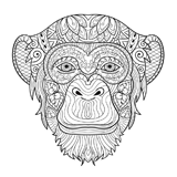 Monkey coloring pages for Adults