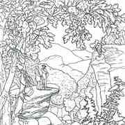 Nature coloring pages for Adults