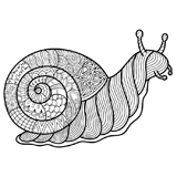 Snail coloring pages for Adults
