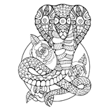 Snake coloring pages for Adults