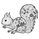 Squirrel coloring pages for Adults