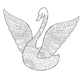 Swan coloring pages for Adults