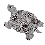 Turtle coloring pages for Adults