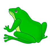 Amphibians coloring pages