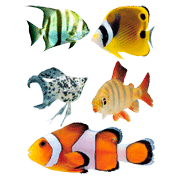 Aquarium Fish coloring pages