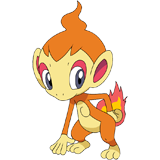 Chimchar coloring pages