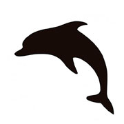 Dolphin Stencils