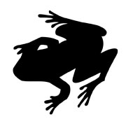 Frog Stencils