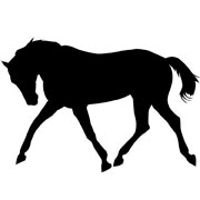 Horse Stencils