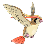 Pidgeotto coloring pages