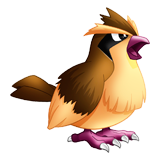 Pidgey coloring pages