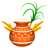Pongal coloring pages