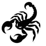 Scorpion Stencils