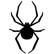 Spider Stencils