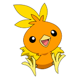 Torchic coloring pages