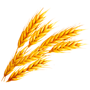 Wheat coloring pages