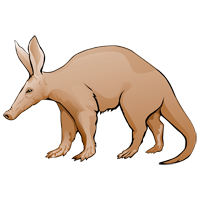 Aardvark coloring pages