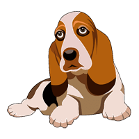 Basset Hound coloring pages
