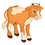 Calf coloring pages
