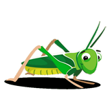 Grasshopper coloring pages