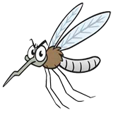 Mosquito coloring pages