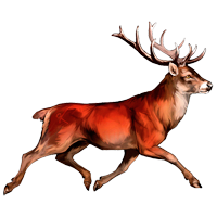 Red Deer coloring pages