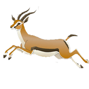 Antelope coloring pages