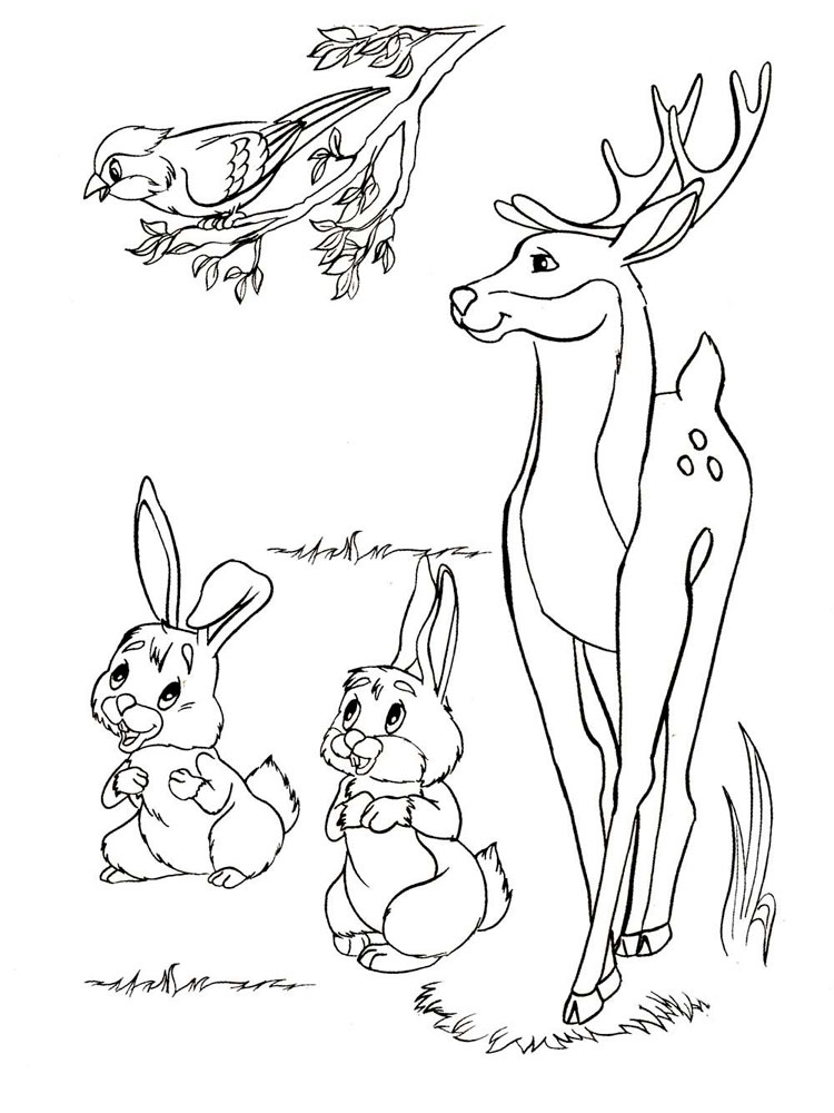 Download 6 Year Old coloring pages. Free Printable 6 Year Old coloring pages.