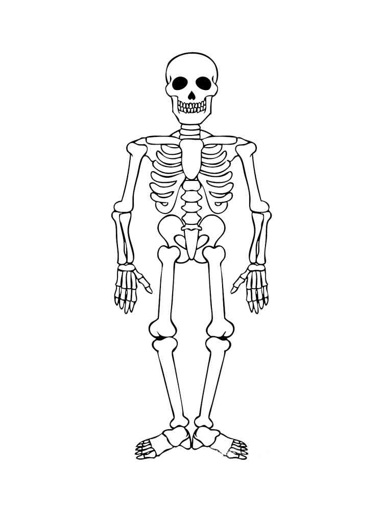 skeleton colouring pages