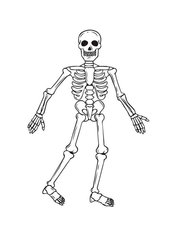 Cute Skeleton Coloring Page - 96+ Best Free SVG File