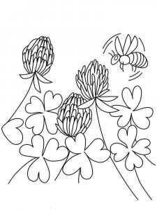 Clover coloring page 2 - Free printable