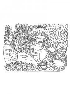 Coral coloring page 13 - Free printable