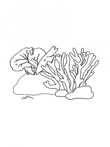 Coral coloring page 7 - Free printable
