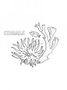Coral coloring page 8 - Free printable