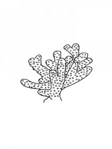 Coral coloring page 9 - Free printable