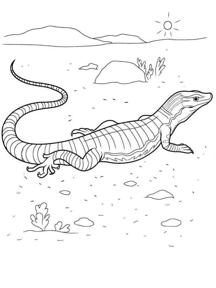 Desert coloring pages. Download and print Desert coloring pages