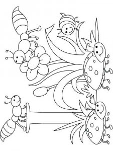 Insect coloring page 13 - Free printable