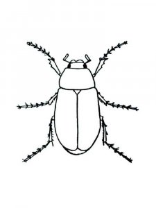 Insect coloring page 14 - Free printable
