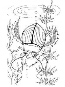 Insect coloring page 16 - Free printable