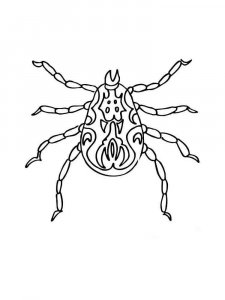 Insect coloring page 18 - Free printable