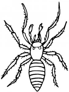 Insect coloring page 19 - Free printable