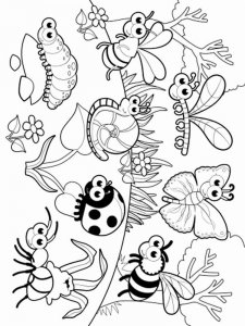 Insect coloring page 2 - Free printable