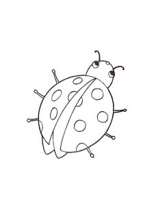 Insect coloring page 25 - Free printable