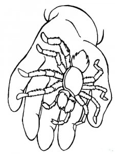 Insect coloring page 28 - Free printable