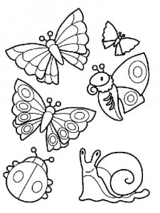 Insect coloring page 3 - Free printable